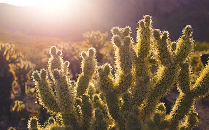 راهنمای کامل سفر به استانبول